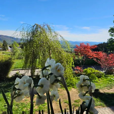 Lueginsland Apartment Schopfheim