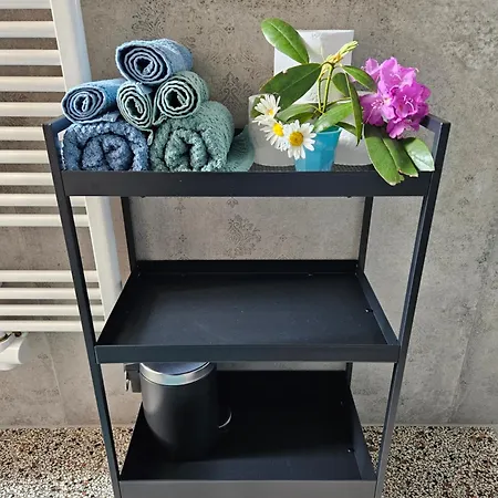 Lueginsland Apartment Schopfheim