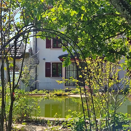 Apartment Lueginsland *